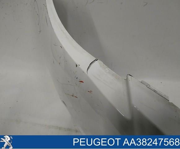 AA38247568 Peugeot/Citroen 