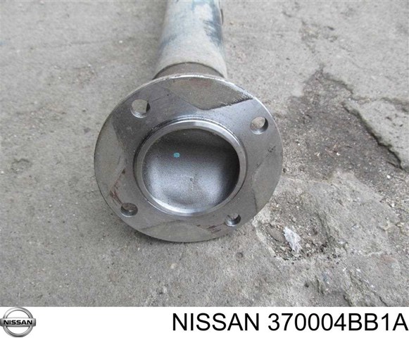  Nissan/Infiniti 370004BB1A