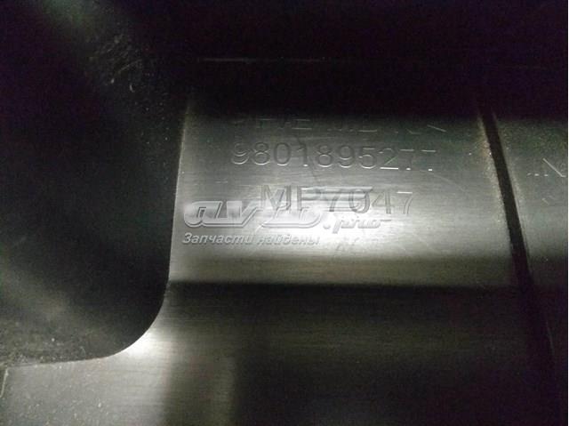Купити 9801895277 Peugeot/Citroen 