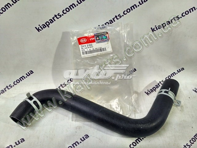 254143F800 Hyundai/Kia 