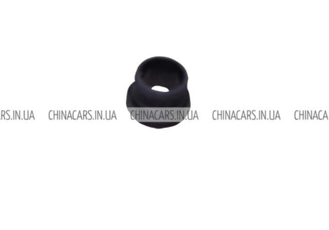  S115207119 Chery