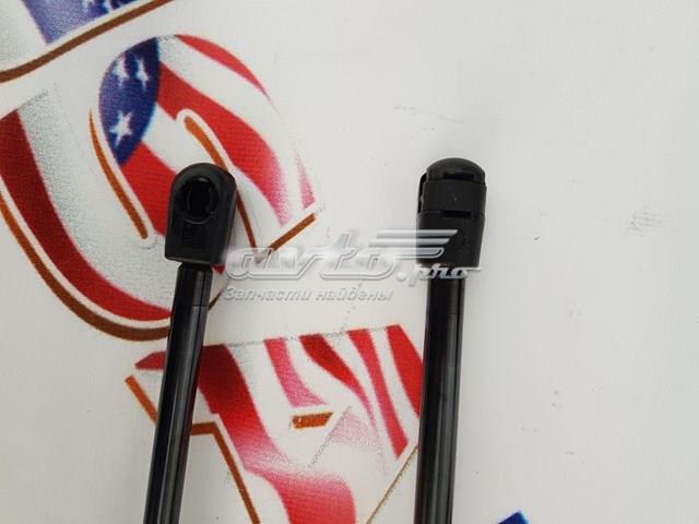 Амортизатор багажника AECH077 NTY