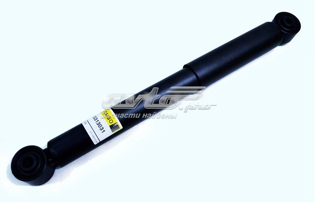 RS313031 Raiso Амортизатори задні
