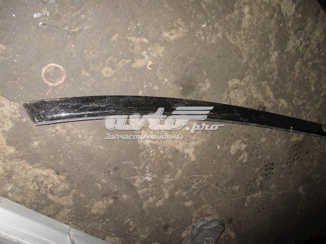 738533JA5A Nissan/Infiniti Автомобільний рейлінг на дах лівий