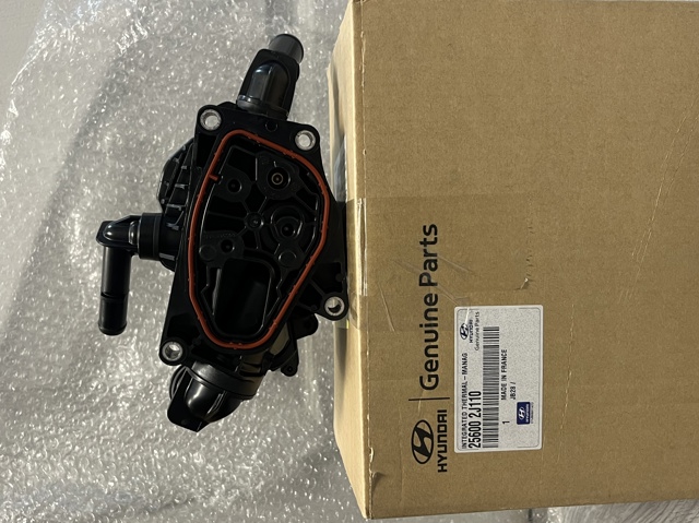 Термостат в зборі Hyundai/Kia 256002J110