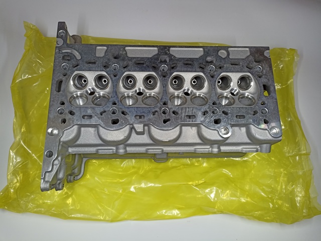 Головка двигуна General Motors 55573010 ціна, від 444.41 USD