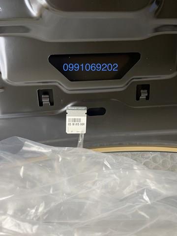 Капот 651001566R Renault (RVI)