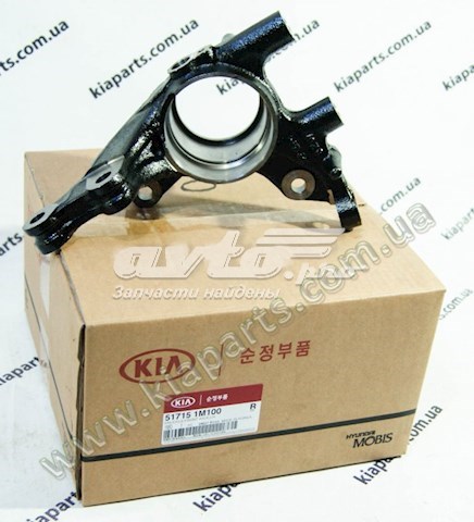Цапфа - поворотний кулак передній, лівий Hyundai/Kia 517151M100 ціна, від 38.12 USD