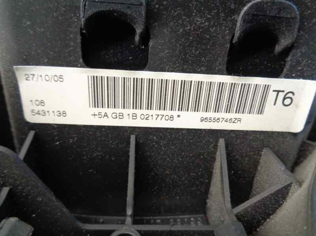 96556746ZR Peugeot/Citroen 