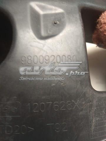 9800920080 Peugeot/Citroen 