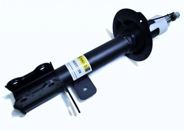 RS317139 Raiso Амортизатор задній, лівий