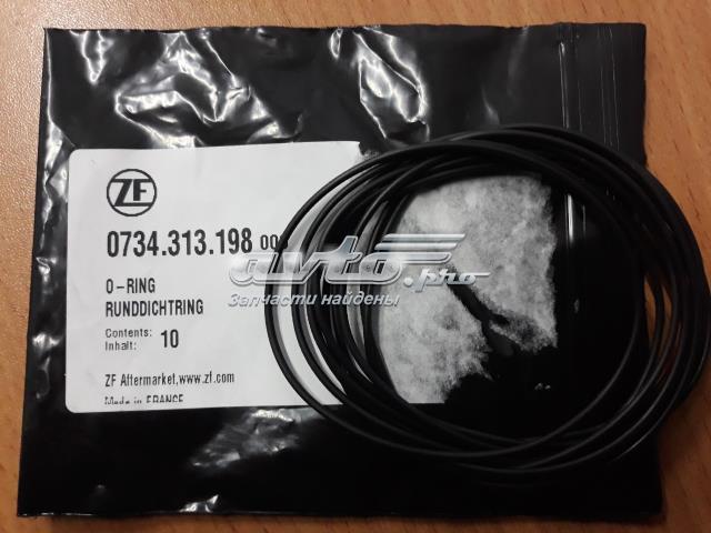 0734313198 ZF Parts 