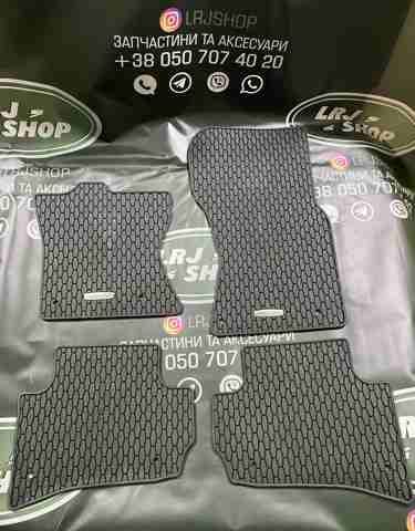  T4A5564 Jaguar