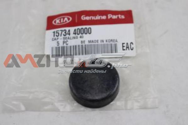 1573440000 Hyundai/Kia Заглушка головки блока