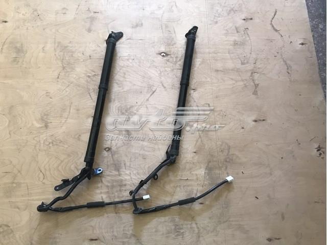 Амортизатор двері задньої Toyota 6891049065 ціна, від 912.16 USD
