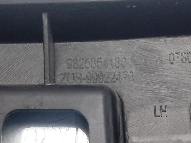 9825854180 Peugeot/Citroen 