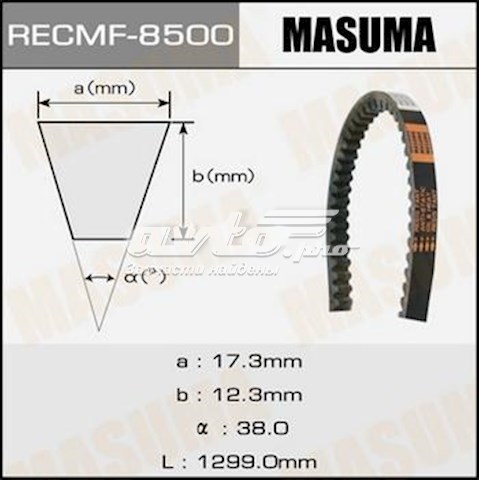  8500 Masuma