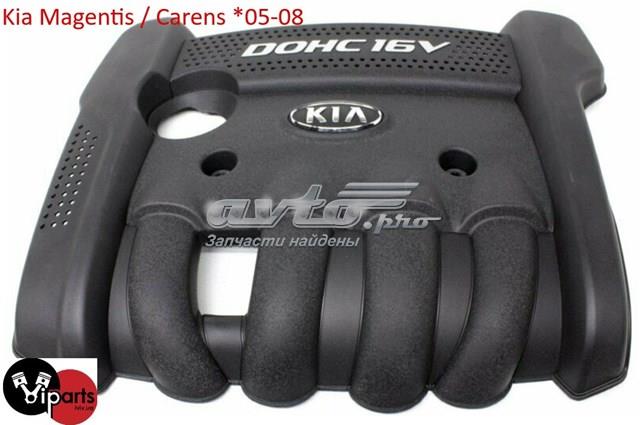 Кришка двигуна декоративна 2924025250 Hyundai/Kia