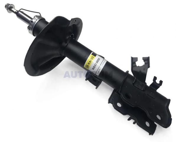 Амортизатор передній, правий Raiso RS339055 ціна, від 49.12 USD