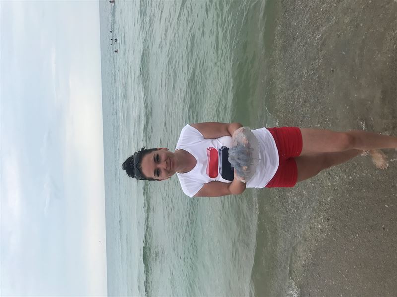 AUDI A6 C5 седан (4B2, 4B4) (1997 - 2005) Розбірка AUDI A6 C5 седан (4B2, 4B4) (1997 - 2005)