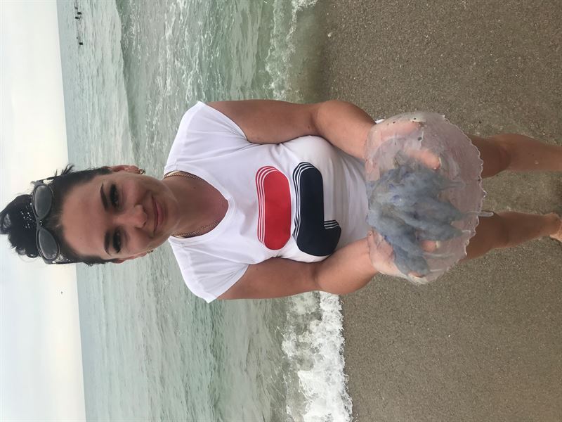 AUDI A6 C5 седан (4B2, 4B4) (1997 - 2005) Розбірка AUDI A6 C5 седан (4B2, 4B4) (1997 - 2005)