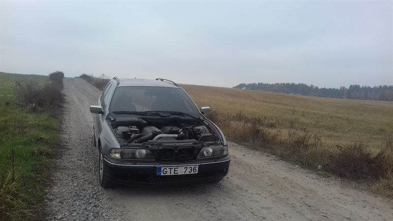 BMW 5 універсал (E39) (1997 - 2004) Розбірка BMW 5 універсал (E39) (1997 - 2004)