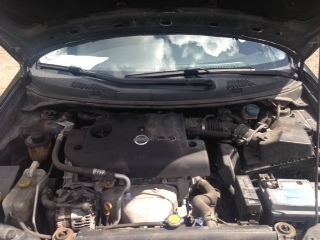 Розбірка NISSAN PRIMERA седан (P12) (02 - 08) (2002 - 2008)